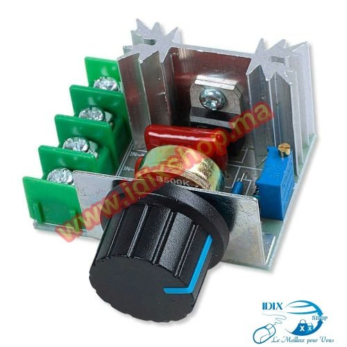 Régulateur de Tension SCR 220V AC 2000W